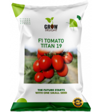 Tomato F1 Titan 19 - 5 grams